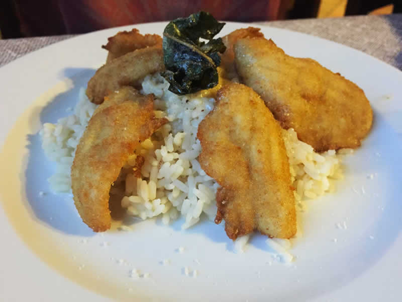 Riso con filetti di pesce persico | ristorante mella bellagio